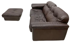 Set of Ds-101 2-Seater Sofa and Ottoman in Brown Leather from de Sede, 1970s