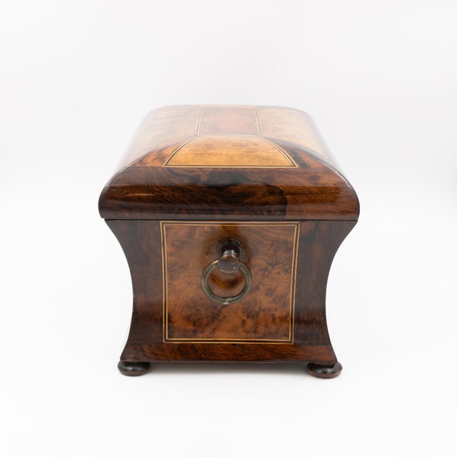 Wood Mid 19th Century William IV Dome Top Bombé Box in Burl Walnut With Boxwood Stringing For Sale - Image 7 of 11