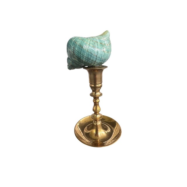 Pair of Vintage Solid Brass Candlesticks With Turbo Shell Topper Sculptures For Sale - Image 4 of 5