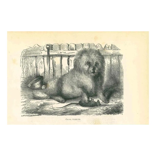 Paul Gervais, The Dog, Lithograph, 1854 For Sale