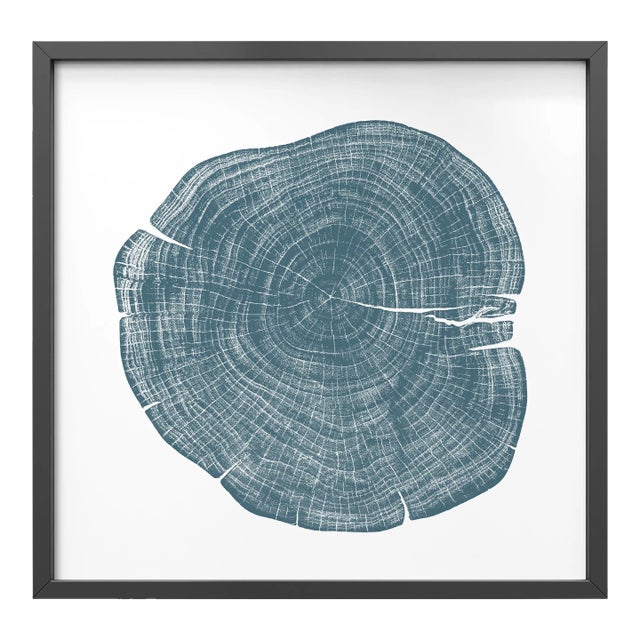 Stump 1 - Variation 5 by Trinette + Chris Print with Black Frame - 24 X 24 For Sale
