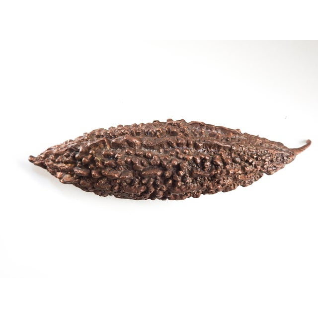 Contemporary Bronze Sculpture Loufa Pods For Sale In Seattle - Image 6 of 7