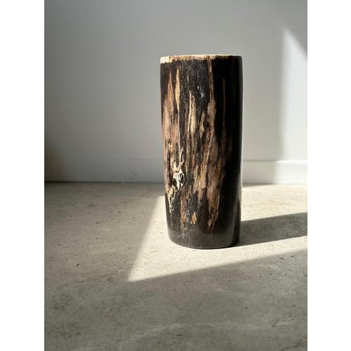 Side Table in Multicolored Petrified Wood with White Top For Sale - Image 18 of 18