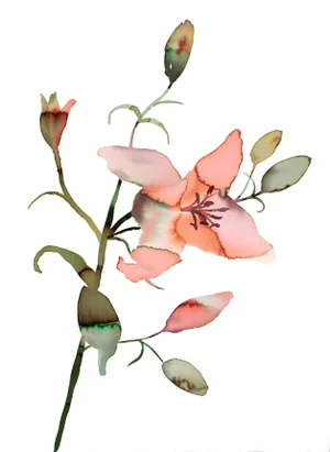 "Floral No. 21" Contemporary Original Botanical Flower Watercolor Painting by Elizabeth Becker