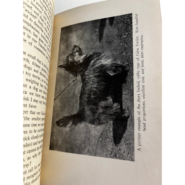 1922 Cairn and Sealyham Terriers Books Set/2 For Sale - Image 9 of 11