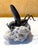 Japanese Articulate Bronze Grasshopper Jizai Okimono Myochin Linage Signed For Sale - Image 12 of 16