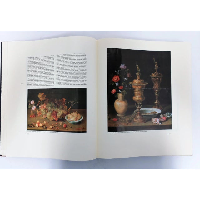 1970s Nature Posing the Grand Season of Still Life of Europe & Italy Coffee Table Book, 1977 For Sale - Image 5 of 13