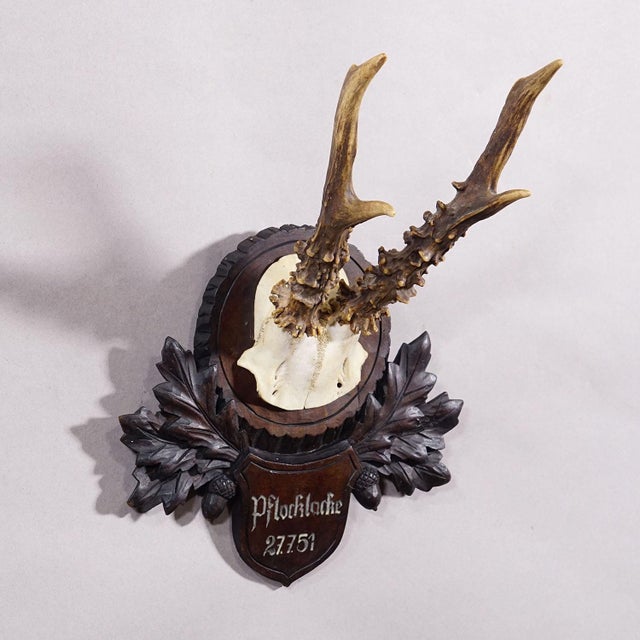 Rustic European Vintage Black Forest Red Deer Trophy on Carved Plaque - Germany 1951 For Sale - Image 3 of 6