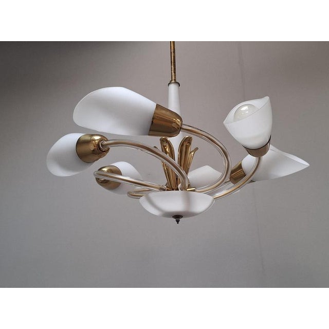 Mid-Century Czech Brass and Milk Glass 6-Light Chandelier, 1960s For Sale - Image 17 of 18