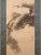 Early 20th Century Late Meiji to Early Showa Era Japanese Watercolor Painting, "Red-Crowned Crane and the Pine Tree" For Sale - Image 5 of 12