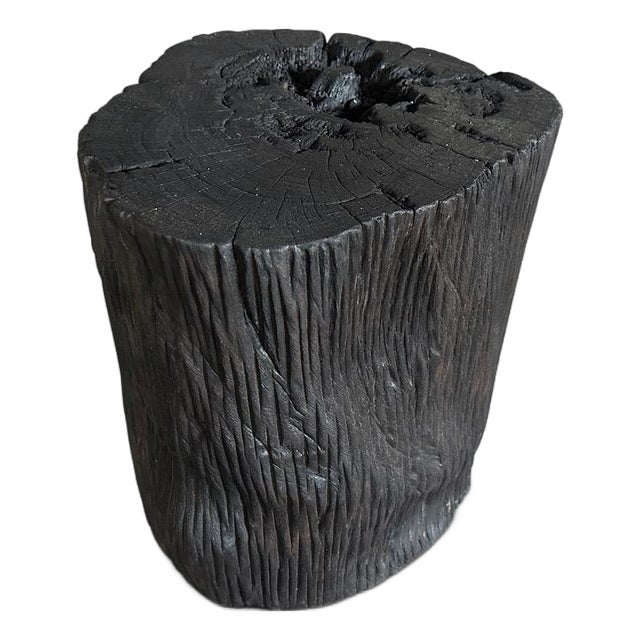 Andrianna Shamaris Ulin Wood Charred Side Table or Stool For Sale