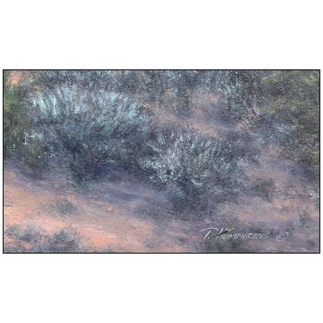 Realism Cedar Sunset, Travis Humphreys For Sale - Image 3 of 4