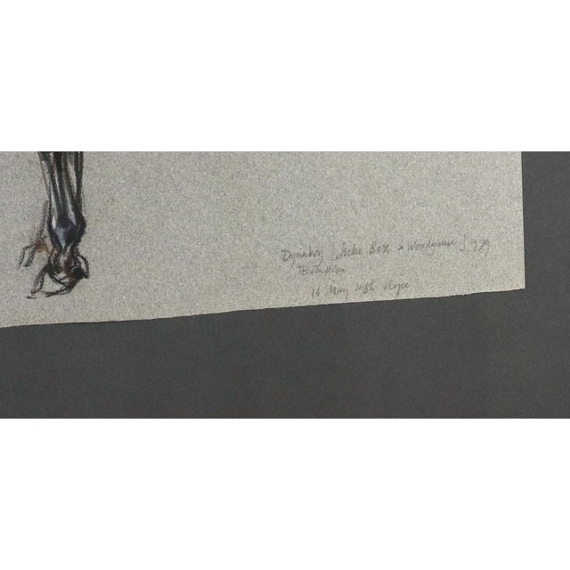 Drawing/Sketching Materials The Equestrian Eye: Original Pastel of a Stallion by Leslie Charlotte Benenson Dated May 16, 1986 For Sale - Image 7 of 8