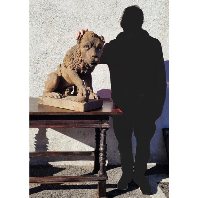 Lion Sculpture in Terracotta, 1800s For Sale - Image 11 of 18