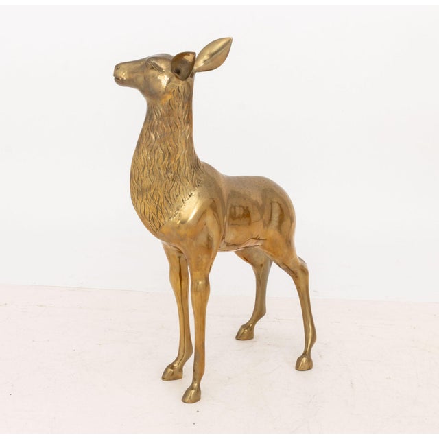 Pair of Stag and Doe Large Brass Sculptures For Sale In New York - Image 6 of 11