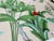 Hand Painted Chinoiserie Botanical Wallpaper Mural | Luxury Custom Wall Decor For Sale - Image 6 of 6