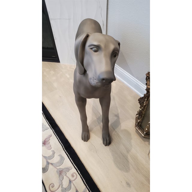 Goldsmith Inc. Discontinued Fiberglass Weimaraner Dog Mannequin For Sale - Image 4 of 6