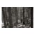 Landscape Digital Archival Print "Woods#2" by Jacques Gael Cressaty 2025 For Sale