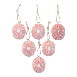 Sea Urchin Christmas Ornaments in Pink - Set of 6 For Sale