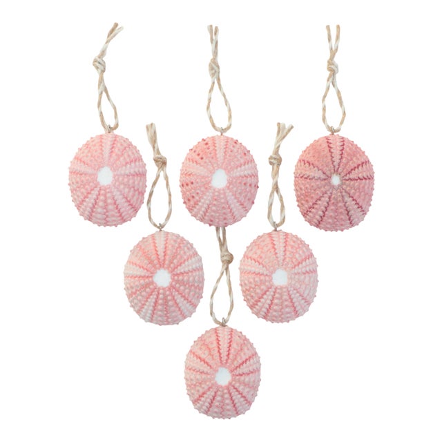 Sea Urchin Christmas Ornaments in Pink - Set of 6 For Sale