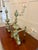 Large Antique Victorian Ornate Brass Fire Dogs and Andirons, 1880, Set of 2 For Sale - Image 10 of 14
