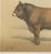 19th Century Borie, Parthenais Bull, French Cattle Breed, 1863, Chromolithograph For Sale - Image 5 of 9