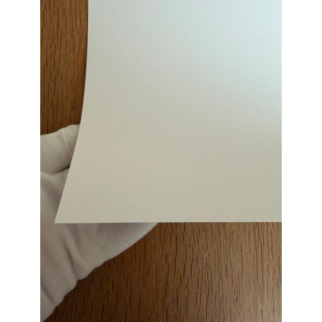 Jenny Saville, Rosetta II, 2000s, Print For Sale - Image 9 of 11