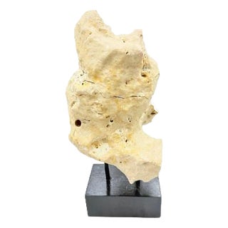 Indonesian Coral Stone On Teak Stand For Sale