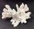 Large Natural White Coral Reef Specimen #4 For Sale - Image 9 of 9