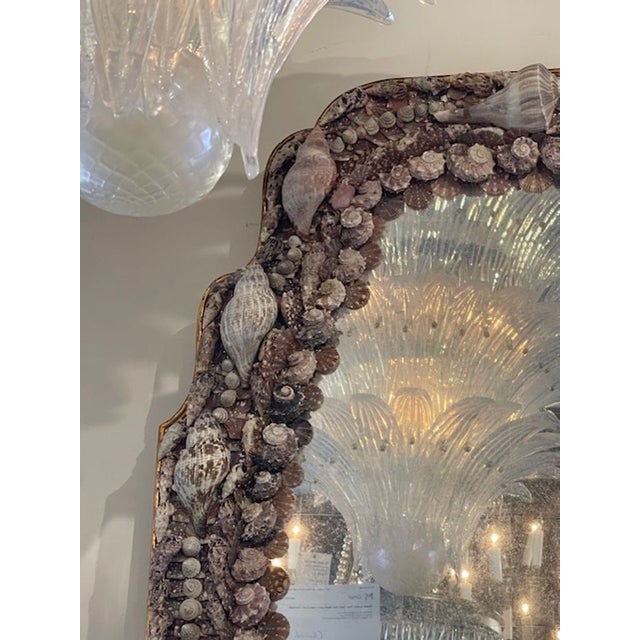 Brown Vintage Sea Shell MIrror For Sale - Image 8 of 8
