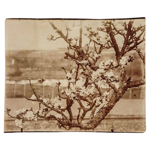 Eugene Atget, Photograph, 1900s For Sale