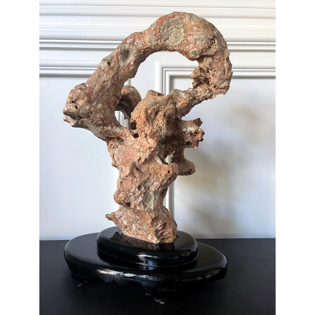 Late 20th Century Chinese Taihu Scholar Stone Sculpture on Wood Stand For Sale - Image 5 of 15