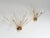 Mid-Century Modern Italian Wall Lamps with Glass Spheres, 1970s, Set of 2 For Sale - Image 3 of 17