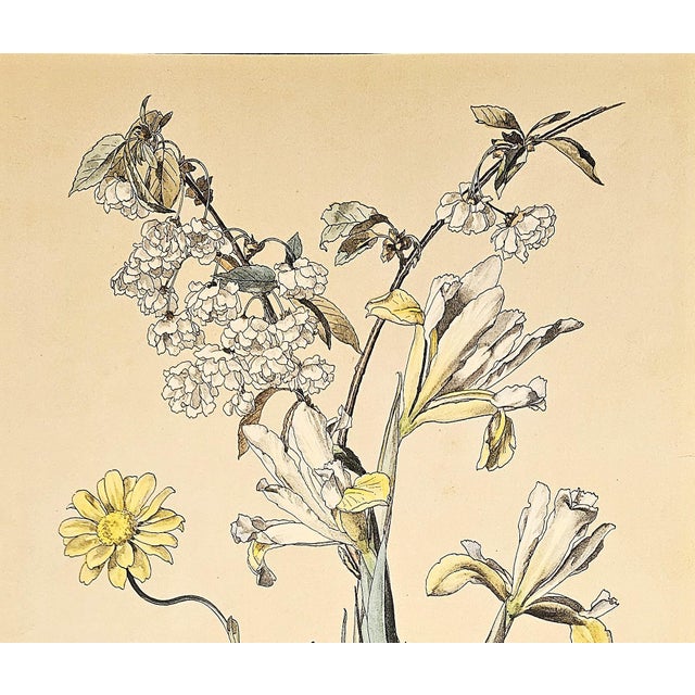 This is a LARGE RARE hand-colored antique botanical chromolithograph that dates to c1880. This is one of a small grouping...