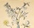 This is a LARGE RARE hand-colored antique botanical chromolithograph that dates to c1880. This is one of a small grouping...