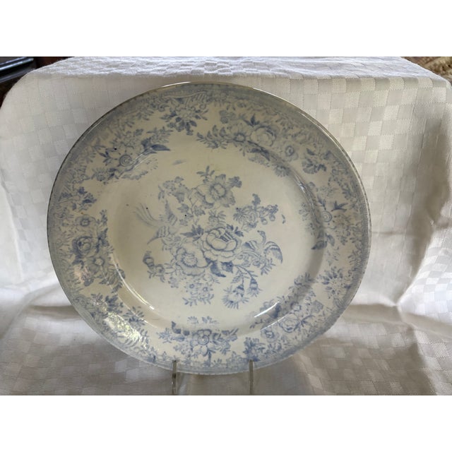 Mid 19th Century Asiatic Pheasant Dinner Plate For Sale - Image 12 of 12