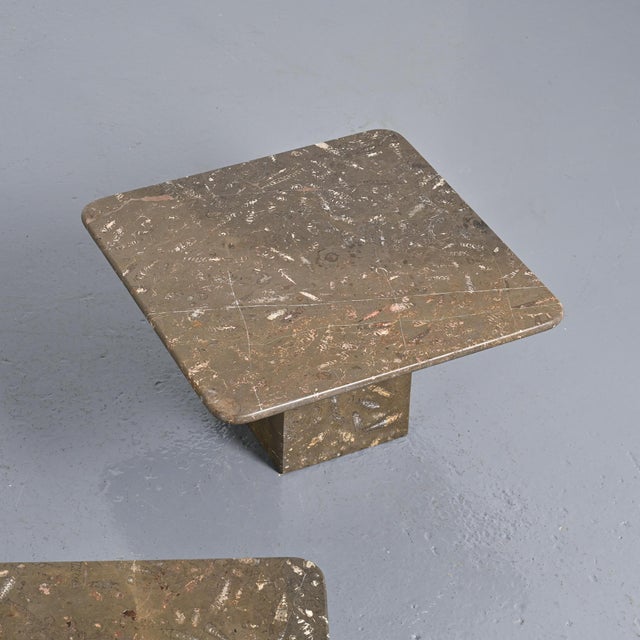 Fossile Nesting Tables, Switzerland, 1970, Set of 3 For Sale - Image 9 of 17