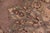Shabby Chic Shabby Chic Agra Pak-Persian Green/Brown Wool Rug - 10'1'' X 14'3'' For Sale - Image 3 of 8