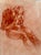 Original drawing by the renowned UK-based artist Brian Gorst, of a male torso, frontal view, with strong delineation and...