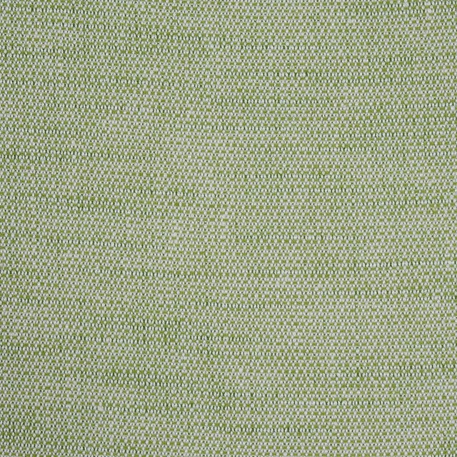 Sample - Schumacher Camarillo Weave Indoor/Outdoor Fabric in Leaf For Sale