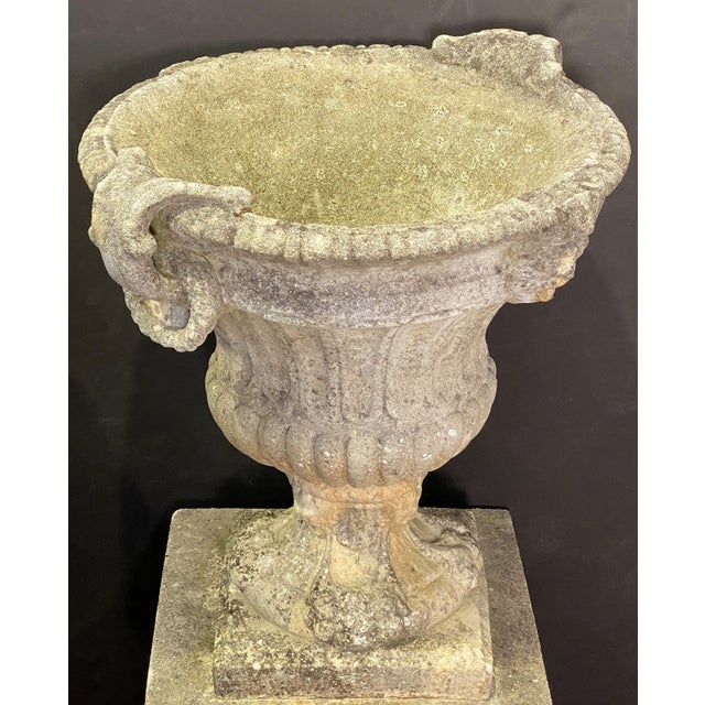 Stone Large English Garden Stone Urn or Planter Pot on Square Plinth Base For Sale - Image 7 of 12
