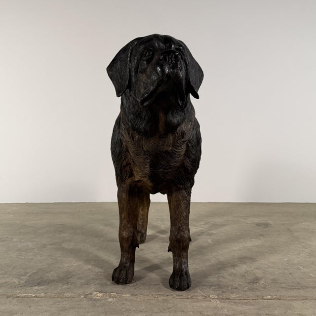 Large Bronze Mastiff (St. Bernard) Dog Sculpture – 48” Guardian Estate Statue For Sale - Image 4 of 10