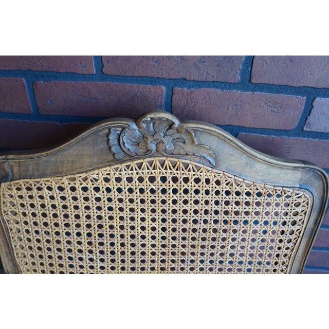 Antique Carved French Walnut Cane Arm Chairs ~ a Pair For Sale - Image 4 of 12