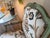 Pair of Custom Botanical Floral Crewel Work Painted Fauteuil Accent Chairs in Sage Green, Ochre and Teal For Sale - Image 10 of 18