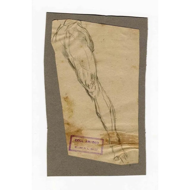 Leg is an original drawing realized by Luigi Galli in the Late 19th Century. Stamped, "Coll. Amadeo" Good conditions but...