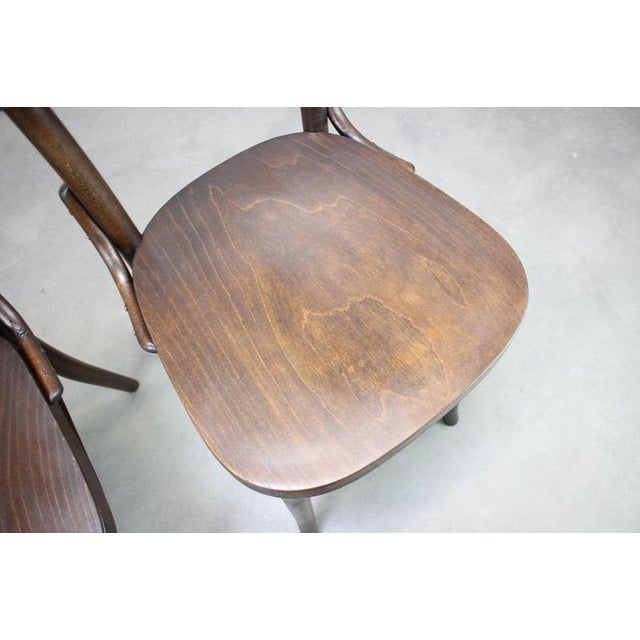 Bentwood Chairs from Thonet, Former Czechoslovakia, 1920s, Set of 2 For Sale - Image 4 of 15