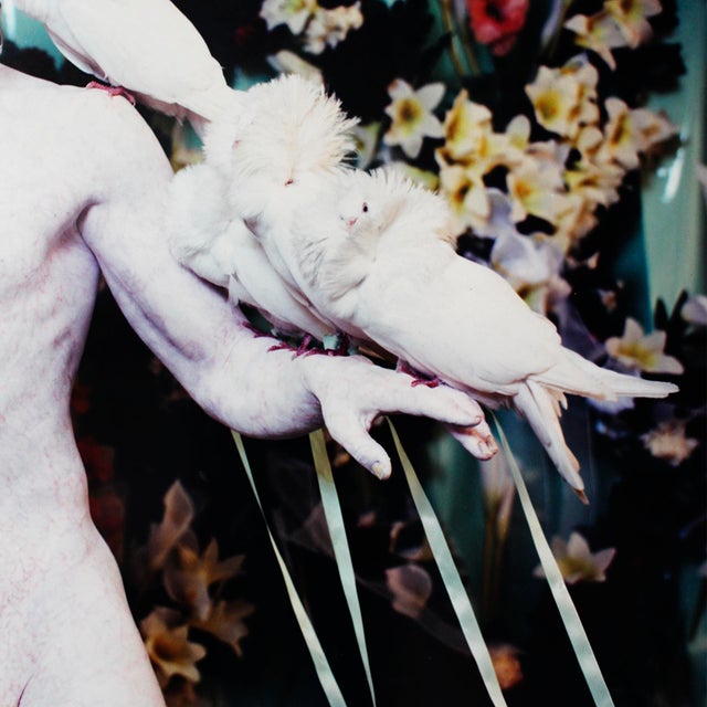 Matthew Barney, Cremaster 5: Her Giant, 1997, C-Print, Framed For Sale - Image 6 of 10