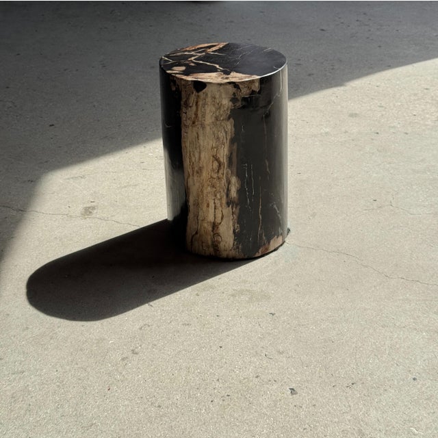 Side Table in Black Petrified Wood with Beige Stripes and Sides For Sale - Image 4 of 18
