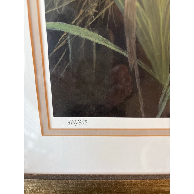 2000 - 2009 Robert Bateman Signed Bobcat Limited Edition Print, 614/950, Framed For Sale - Image 5 of 6