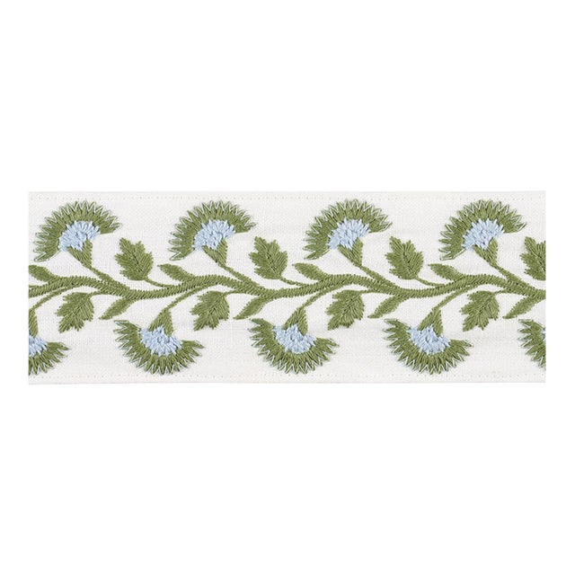 Schumacher Lottie Tape In Leaf For Sale